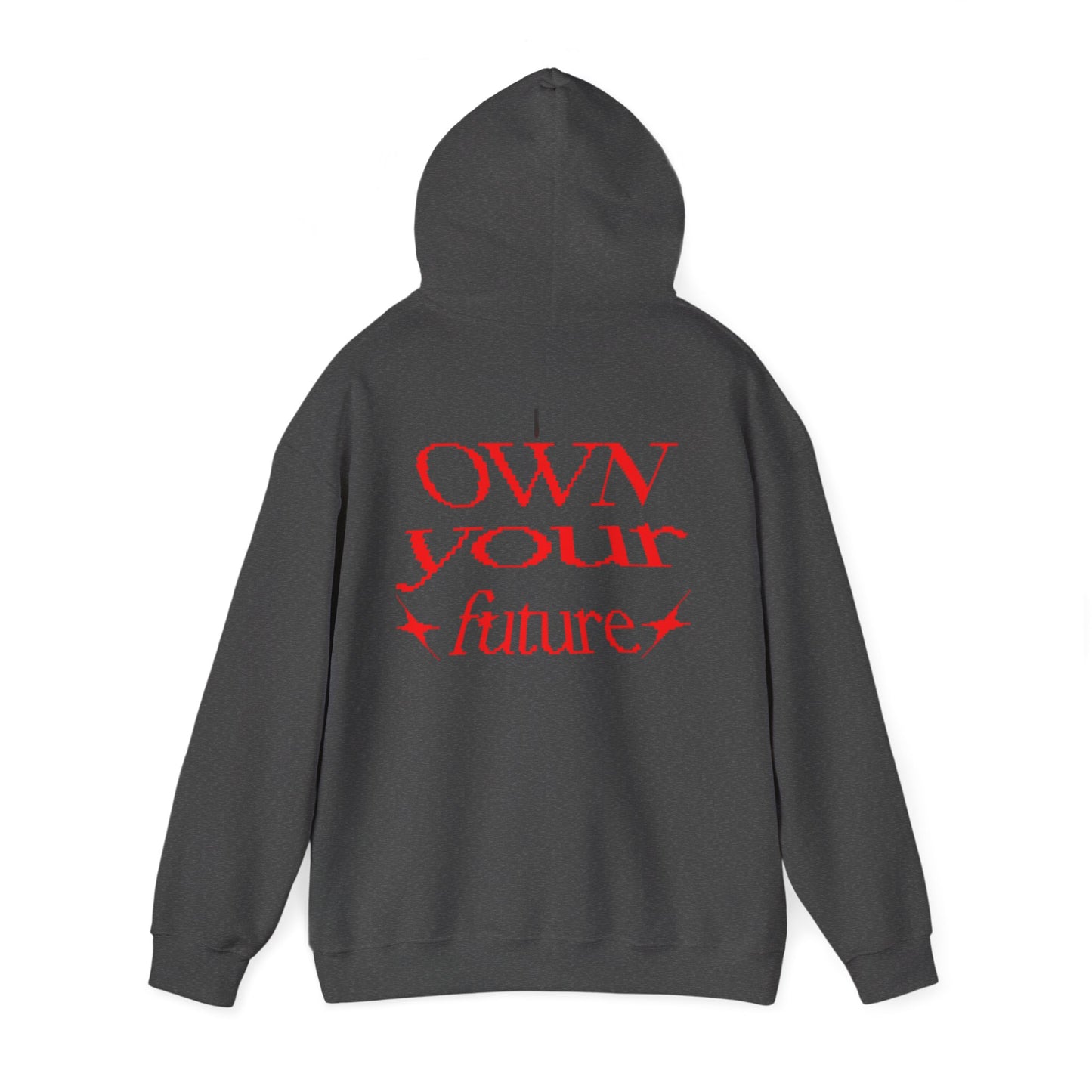 Ambitwear Own your Future Hoodie