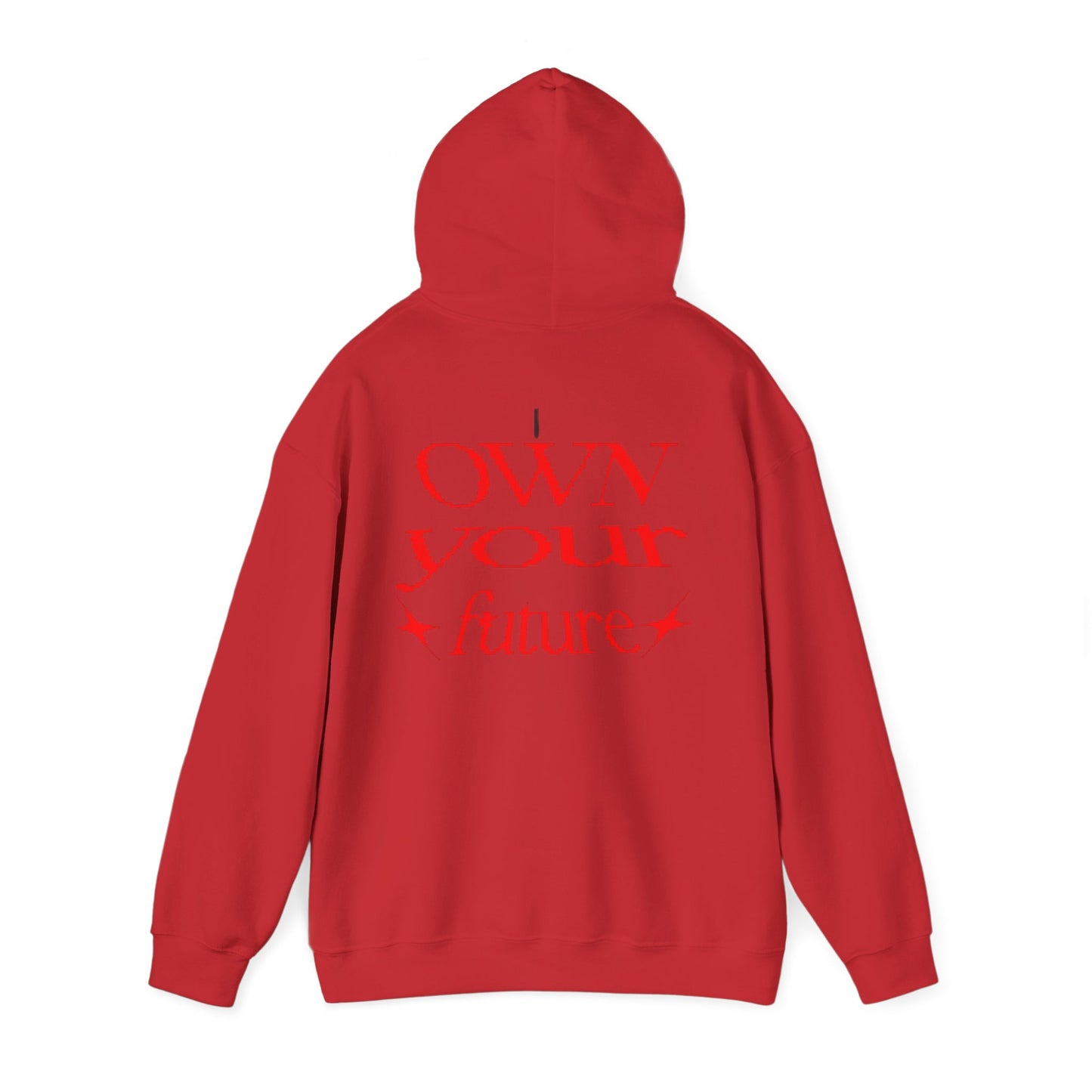 Ambitwear Own your Future Hoodie